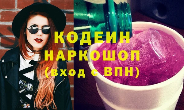 прущий лед Новозыбков