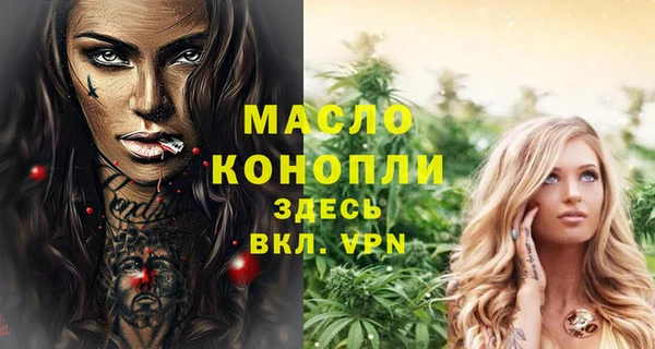 прущий лед Новозыбков