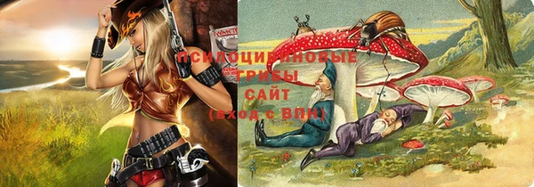 a pvp Новокубанск