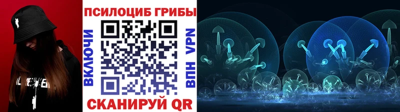 Псилоцибиновые грибы GOLDEN TEACHER  Карталы 
